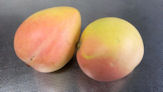 ピーチマンゴーの果実